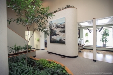 Schulman Esthetic and General Dentistry