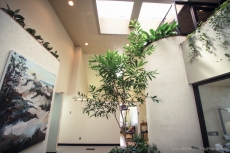 Schulman Esthetic and General Dentistry