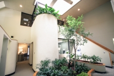 Schulman Esthetic and General Dentistry